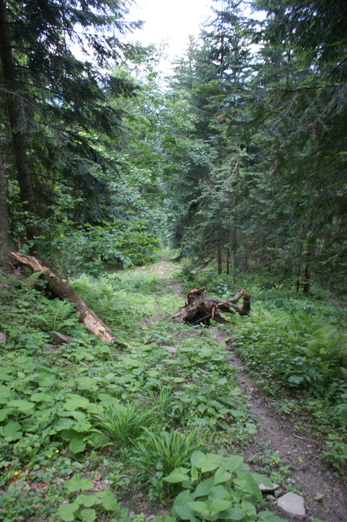 DSC04034.JPG