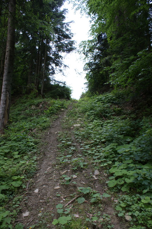 DSC04036.JPG