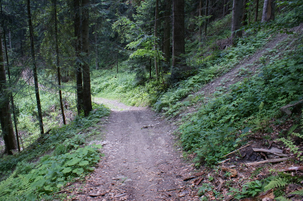 DSC04039.JPG