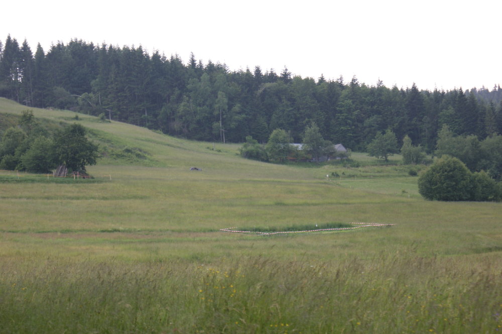 DSC04045.JPG
