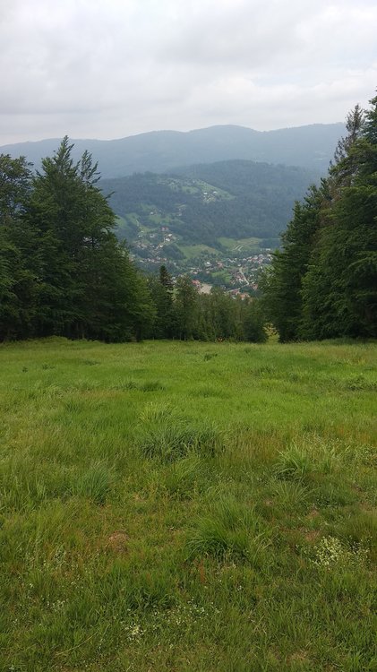 IMG_20180602_111721.jpg