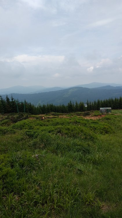 IMG_20180602_114442.jpg
