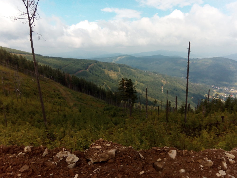 1641658139_IMG_20180715_100055kopia.thumb.jpg.0e85244f7d99e3af8f42ec6749b66885.jpg