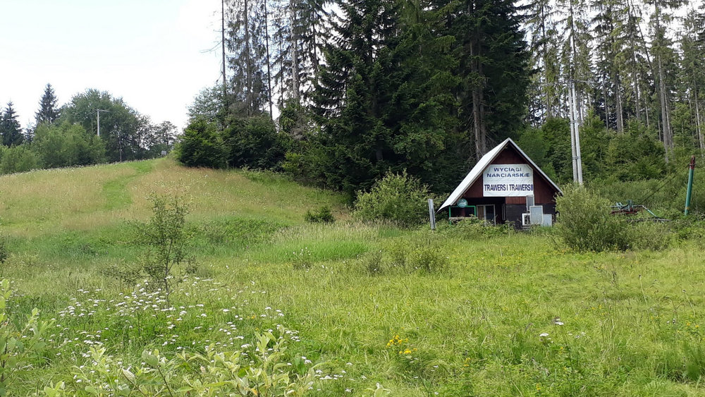 20180710_110132.jpg