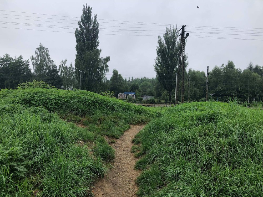 3AB9D1E7-83C1-4651-98B5-AD494D761755.jpeg