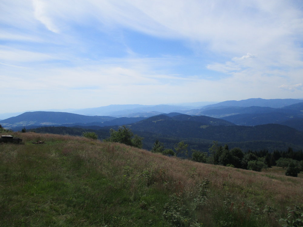 IMG_0684.JPG