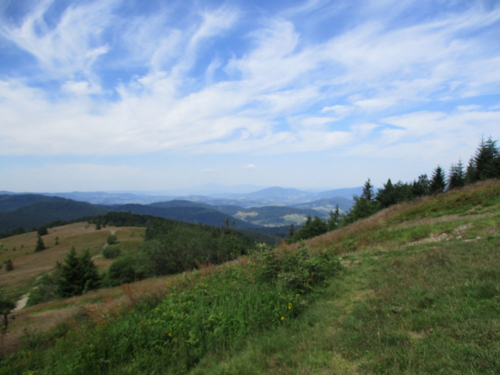 IMG_0687.JPG