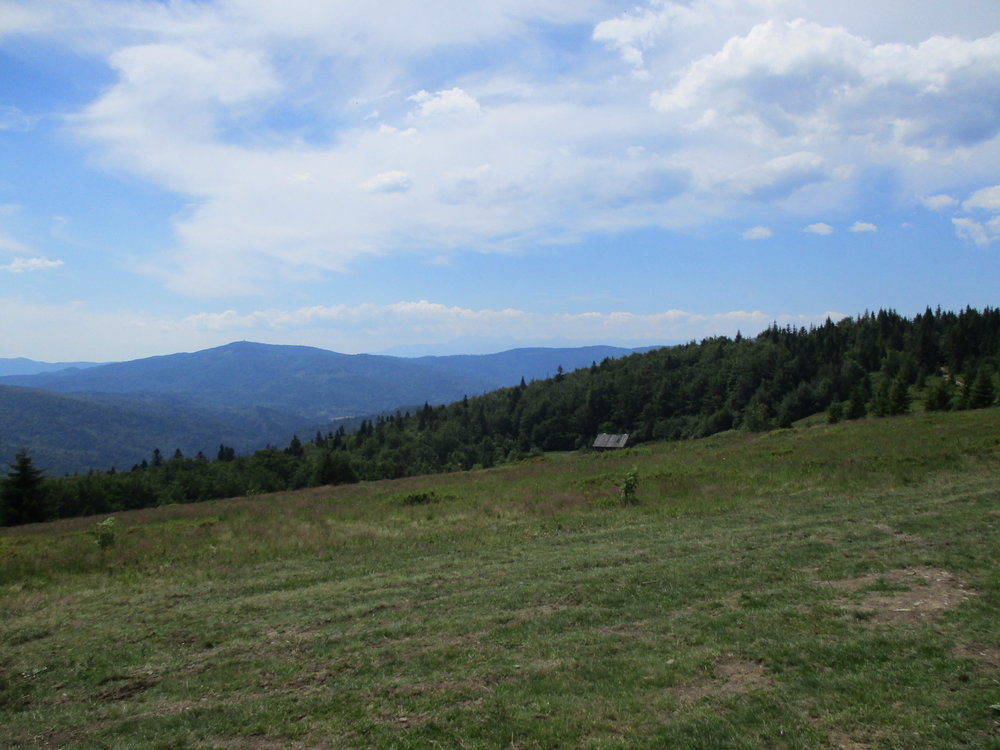 IMG_0694.JPG