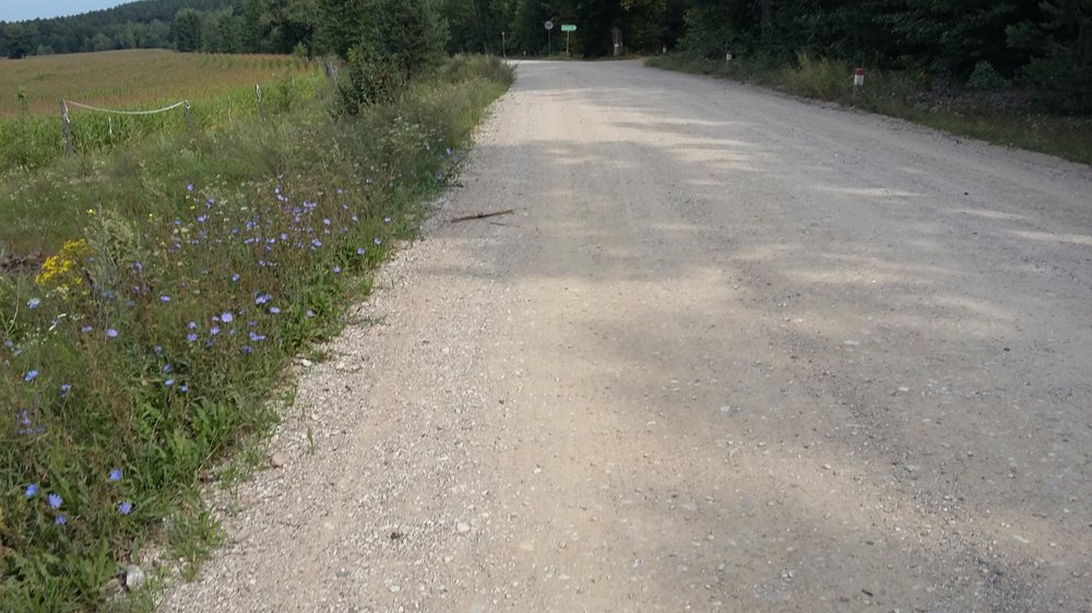 20180805_092000.jpg