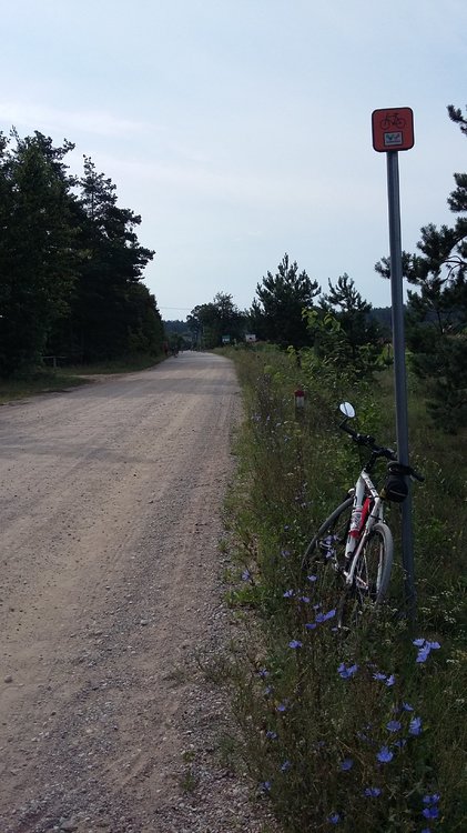 20180805_092008.jpg