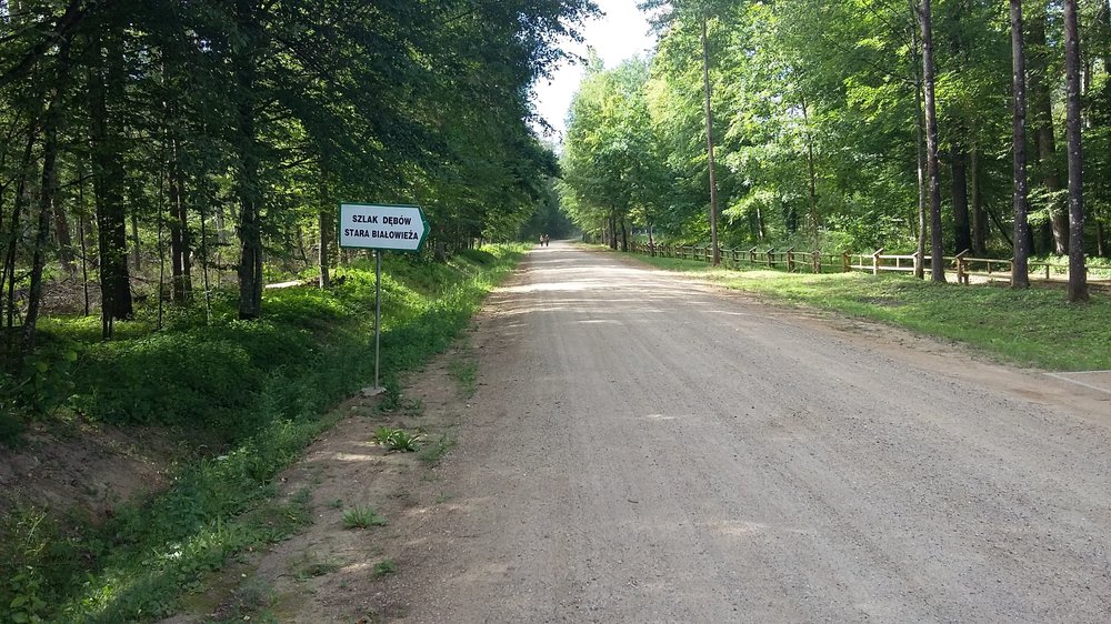 20180806_090034.jpg