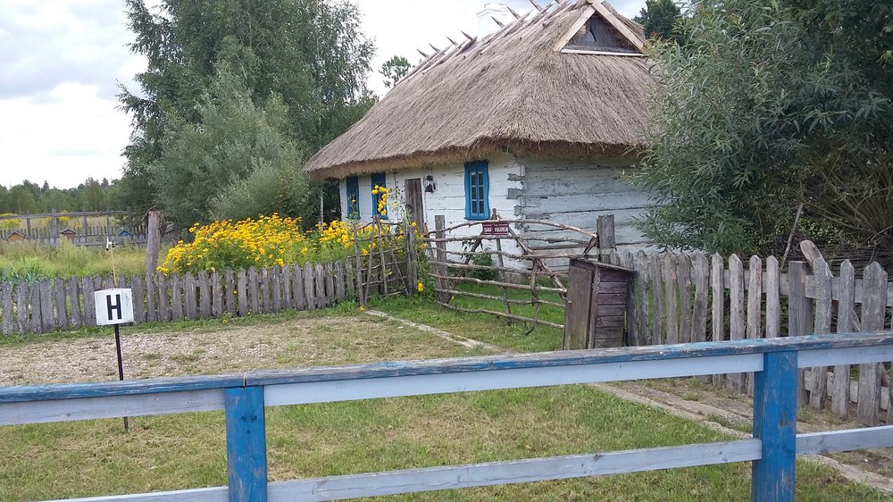 20180806_121851.jpg