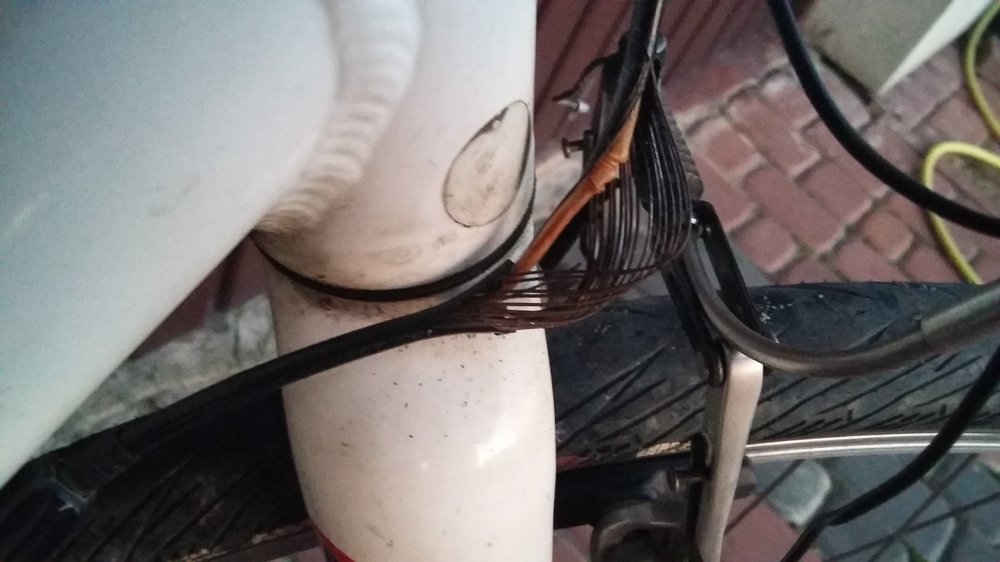 20180814_201531.jpg