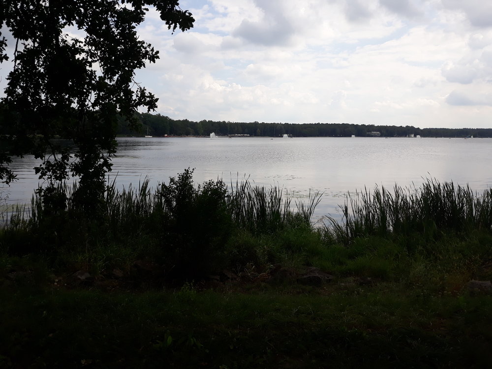 20180815_142531.thumb.jpg.5b9ad5e69021a3fa559b0bec9e0cdd84.jpg