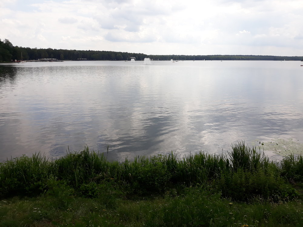 20180815_142740.thumb.jpg.1e275dfa78c8ac8b0263a1baac53c27b.jpg