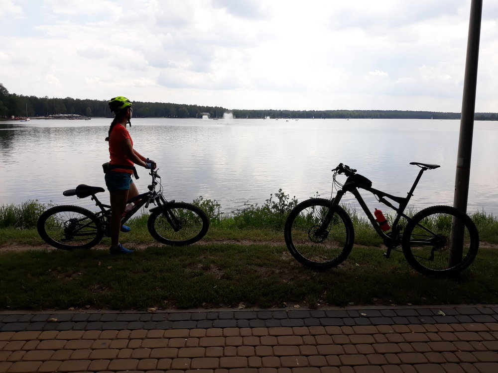 20180815_142812.thumb.jpg.39cb60ab29f20db66785398a3771d403.jpg