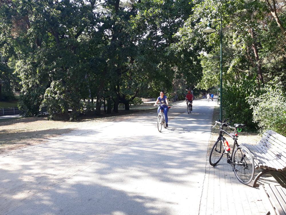 20180823_153313.thumb.jpg.a5c0ddf09e2fcf28265034b709b98924.jpg