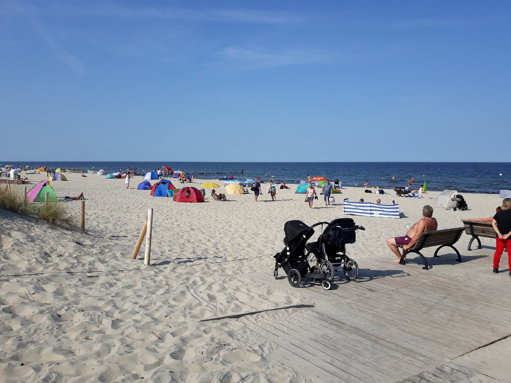 20180823_155140.thumb.jpg.5340993da1f4fa4798c37a033d6f0945.jpg