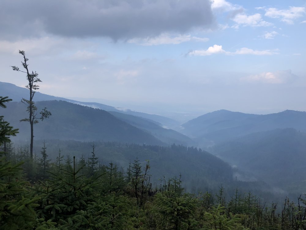 38C050D8-D4A0-4A6A-8DE7-AA1F03332CCA.jpeg