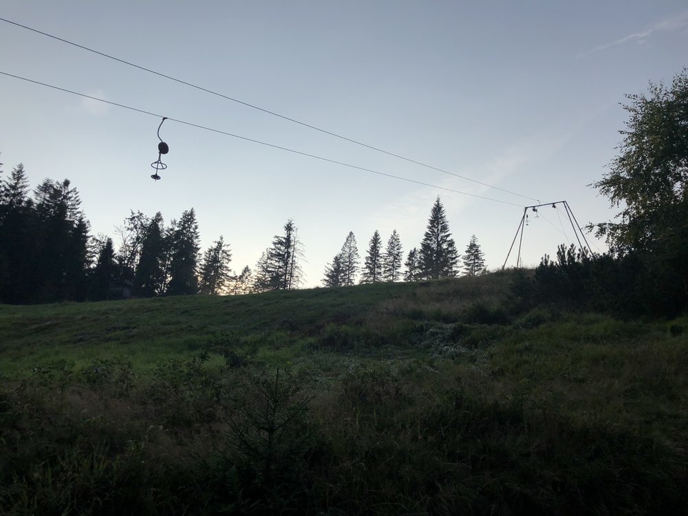 DA232216-EFB7-47D5-89A5-A11E73209056.jpeg