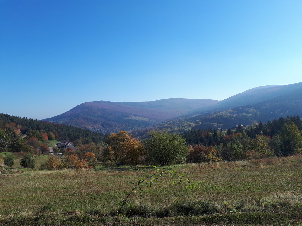 20181013_112417.jpg