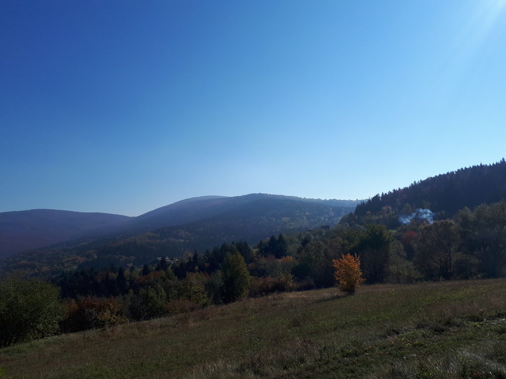 20181013_112438.jpg