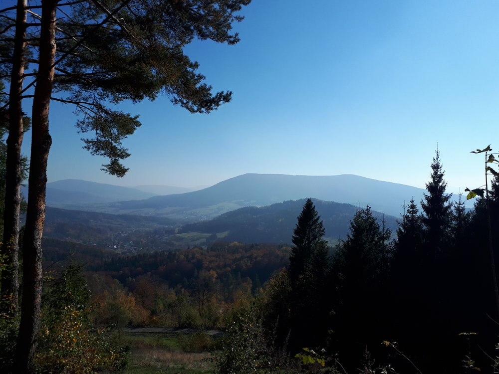 20181013_133601.jpg