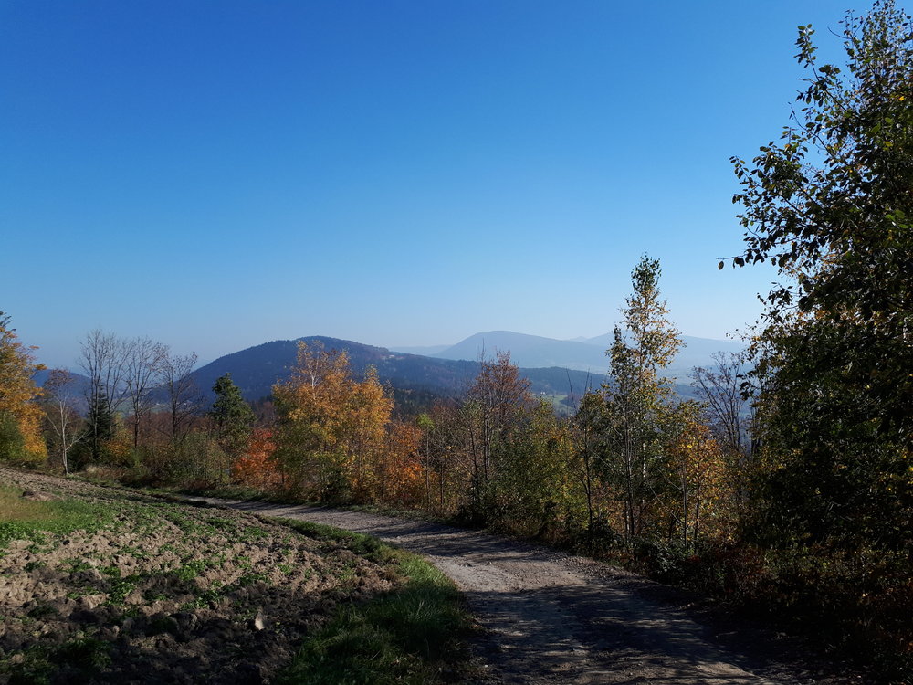 20181013_133907.jpg