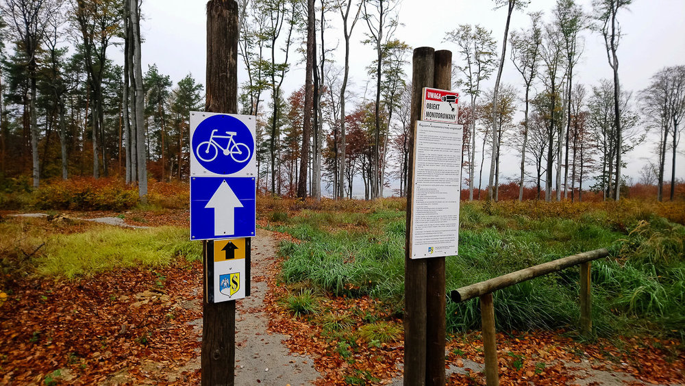 DSC_1217.thumb.jpg.a8b9c829d217060b4c797ca3ffc62b4b.jpg