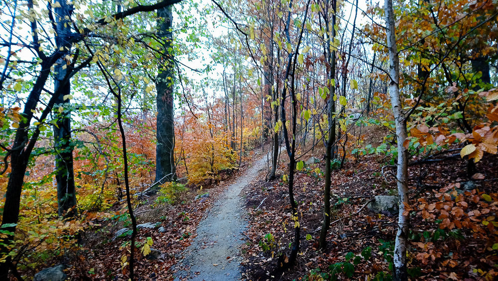 DSC_1229.thumb.jpg.4a7c3623eca8a123991b52aa86eb9231.jpg