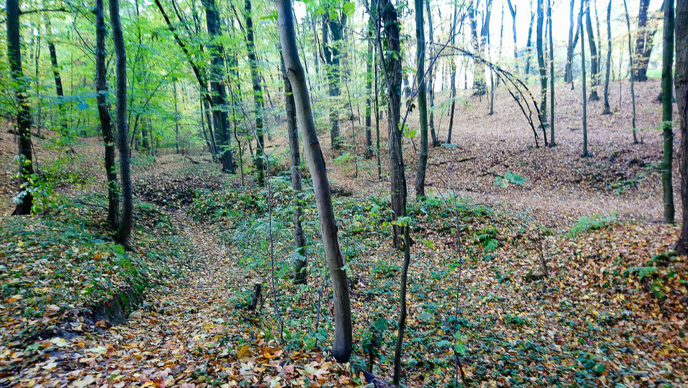 DSC_1262.thumb.jpg.33c5b870a26b66676e2bf0b59db08f69.jpg