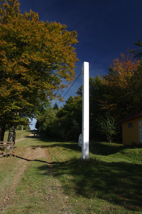IMGP8950.JPG