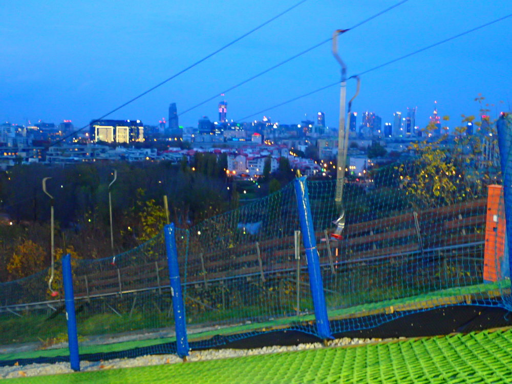 OI000449.thumb.jpg.4657105a87e6f35343c10c8708f2d6a5.jpg