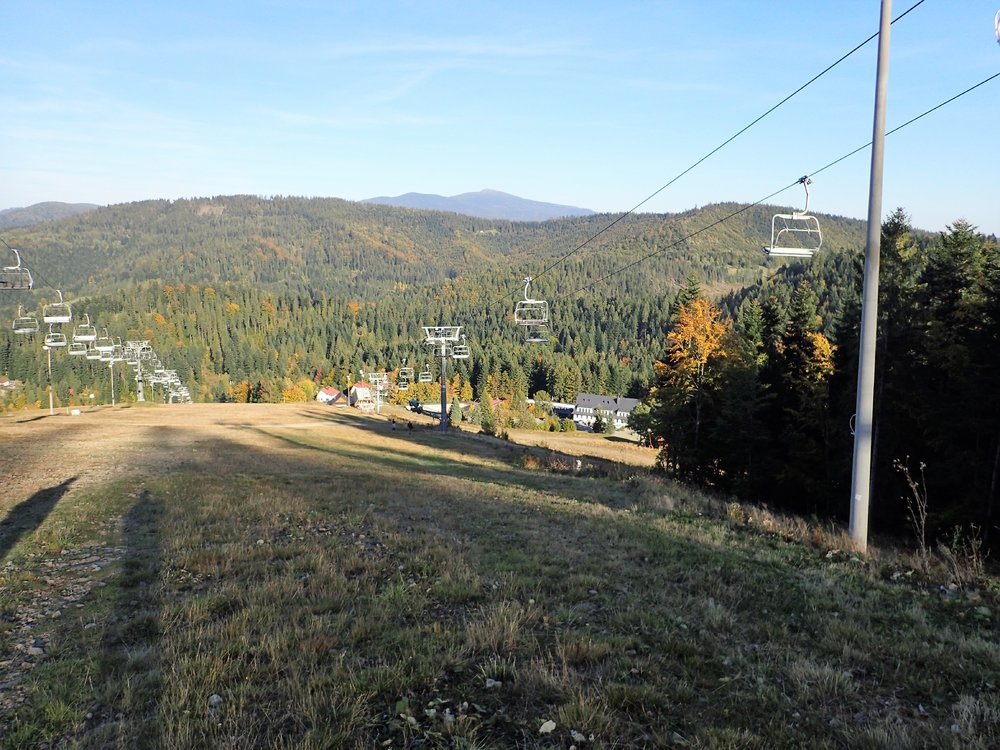 PA060115.thumb.JPG.0b46eac92e853491c89bba8f6ea9f5c6.JPG