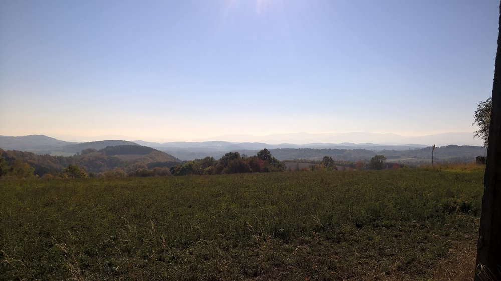 WP_20181012_11_22_17_Pro.thumb.jpg.b667d2f356108f7b15a563a8252630a1.jpg