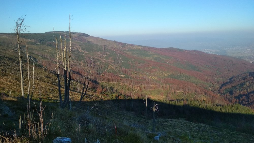 tmp-cam-191353663.jpg