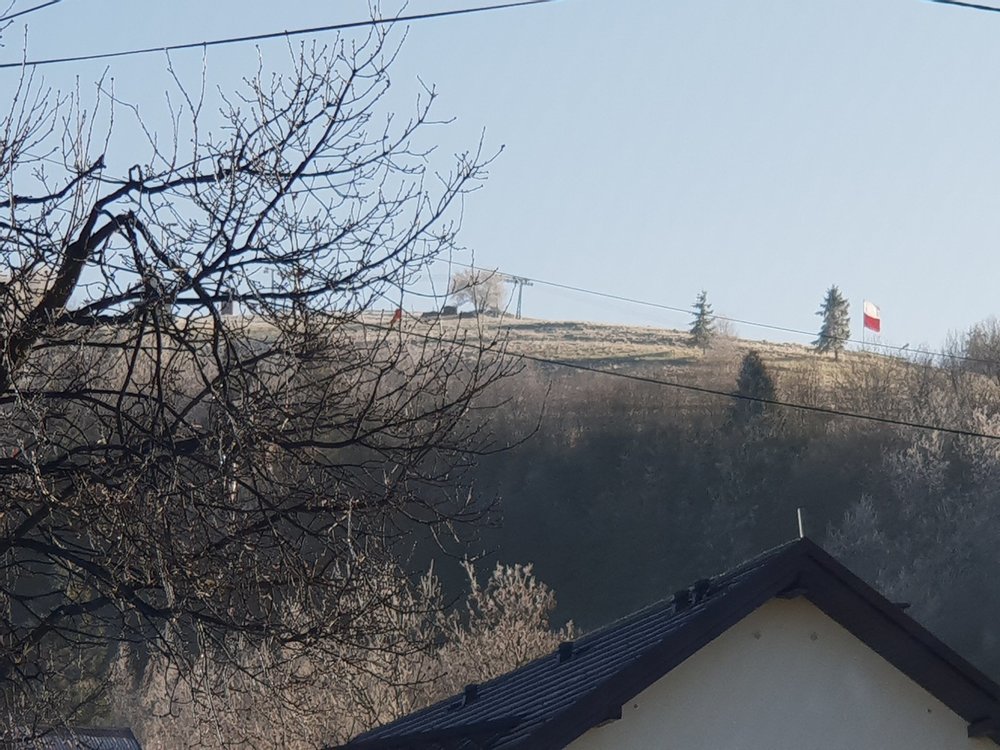 20181128_122915.jpg
