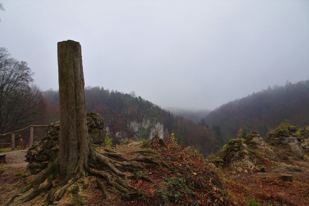 DSC03762.thumb.JPG.37a4d5a52ba80463d0a6c9aa2c7fa0e1.JPG