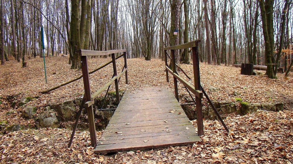 DSC07114.thumb.JPG.17a1af33a5da6475faab3f5c601a6d3d.JPG