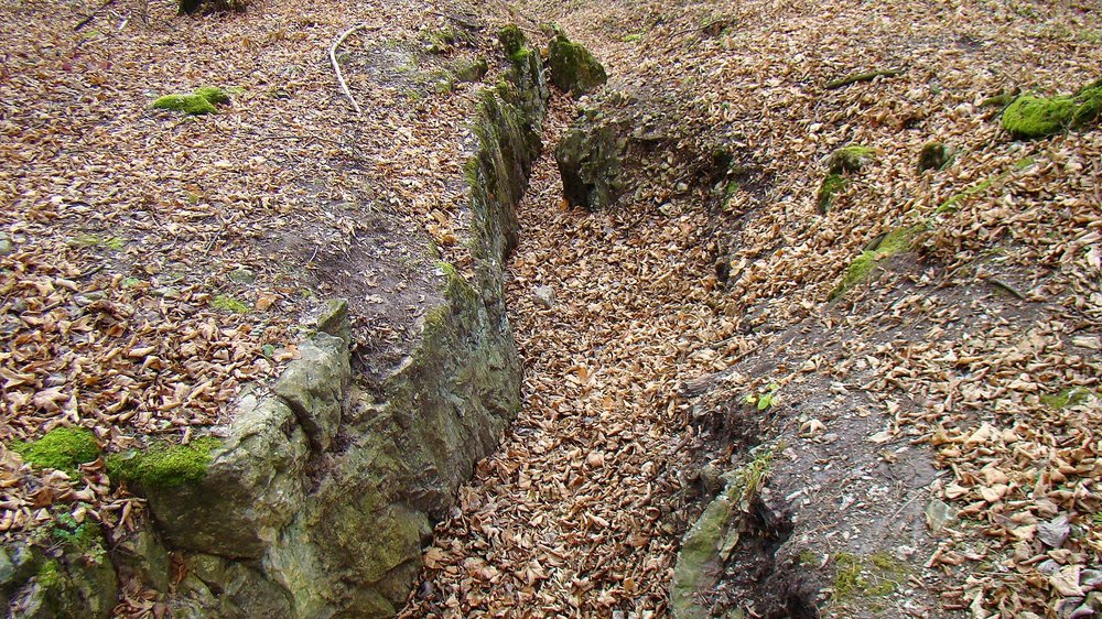 DSC07115.thumb.JPG.35713bd2dc6305aa272470d44c063db0.JPG