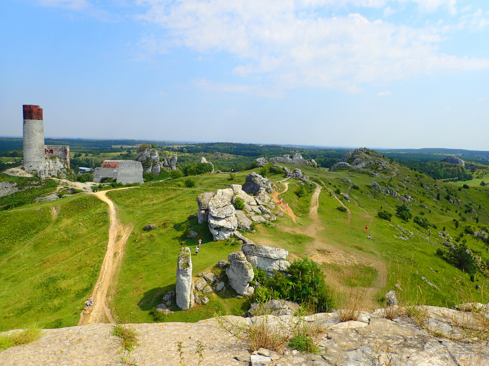 P8209943.thumb.JPG.c42d38138626b3205c03629ea66b0940.JPG