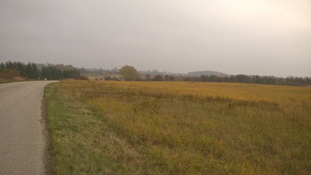 WP_20181111_10_51_44_Pro.thumb.jpg.74fd799351111fe1adfb1f8711693fdd.jpg