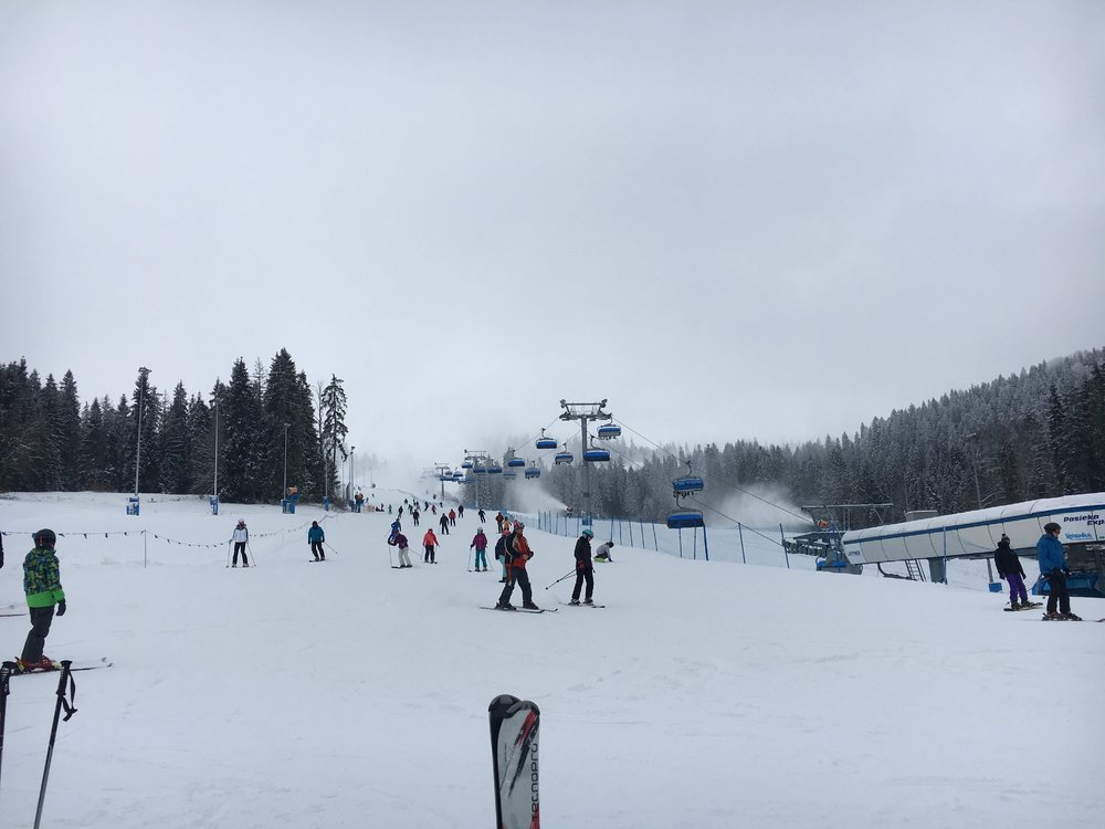 0ABB4496-847A-42A1-B181-C12B2EDE3B3C.jpeg