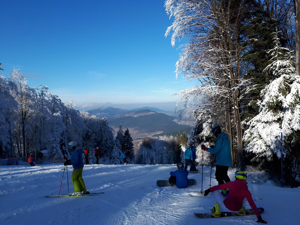 20181202_100837[1].jpg