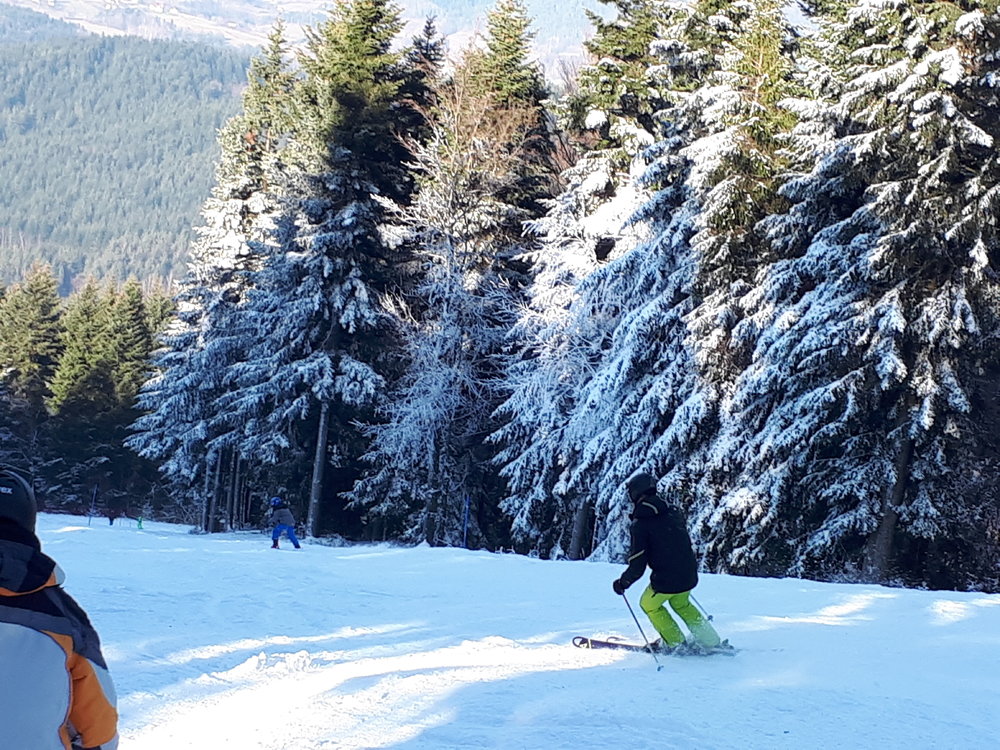 20181202_112818[1].jpg