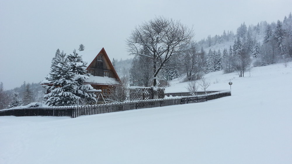 20130113_102855.jpg