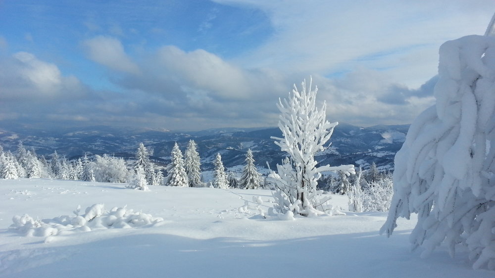 20130113_133137.jpg