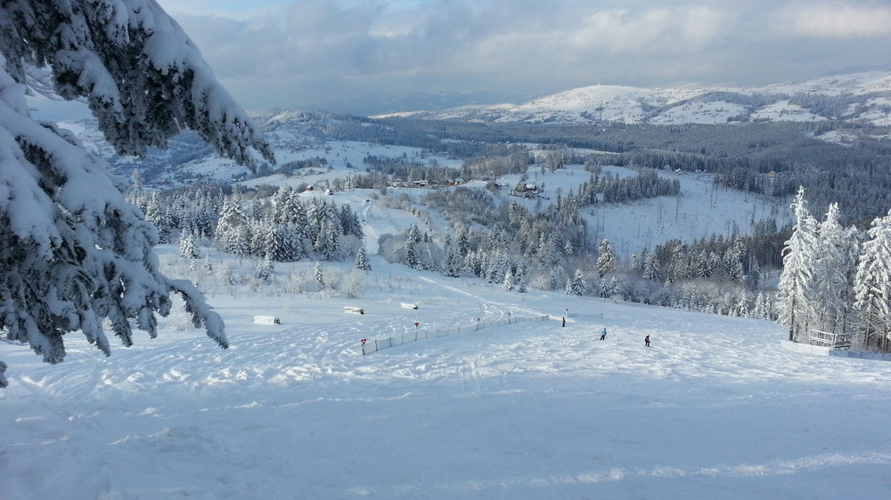 20130113_133534.jpg