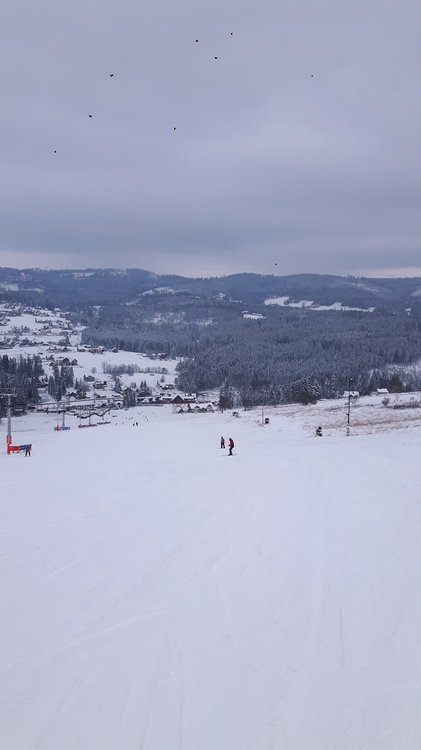 20181215_091436.jpg