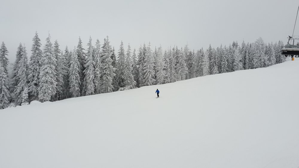 20181215_095132.jpg